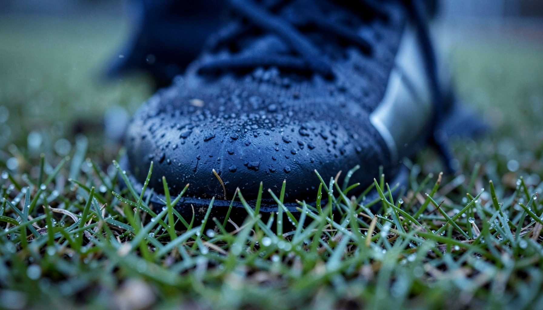 Close-up of a football boot pressing into damp grass on a training pitch, morning dew visible on the blades, muted green tones